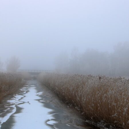 "Nebel und Kälte" Liane Grausam