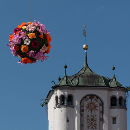 "UFO - Unbekanntes Florales Objekt" Frieder Molineus