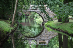 bach-bruecke-baeume-gras