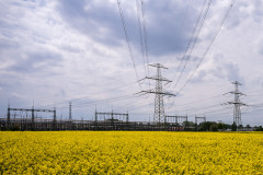 Yellow Strom