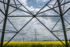 Yellow Strom 2