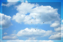 Wind