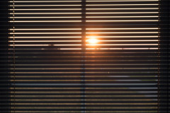 Abendsonne