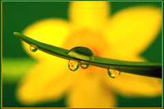 Vorfrühling