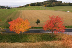 Herbstfarben