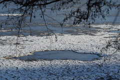 Ohne Titel