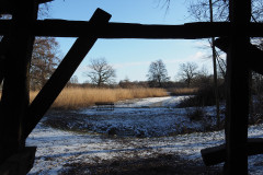 Ohne Titel