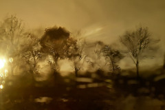 Novemberrain