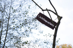 Lieblingsplatz 1440