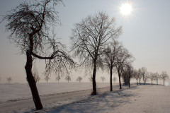 Winterland