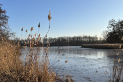 Eiskalt