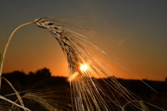Sonnenuntergang