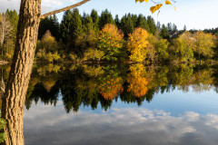 Herbst