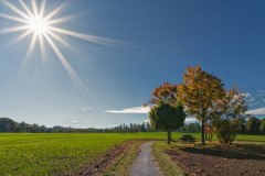 Herbstfeuer
