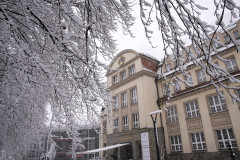 Museum