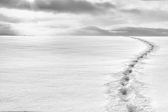 Schritte zum Horizont