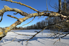 Winterruhe