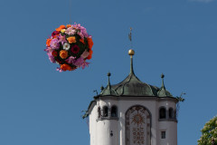 UFO – Unbekanntes Florales Objekt