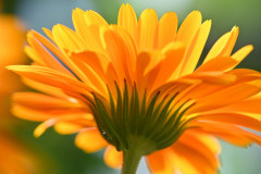 Sommerfeeling