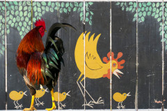 Huhn oder Hahn