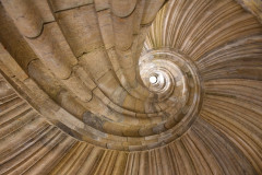 Schnecke
