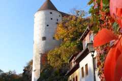 burgruine-huegel-baeume-blumen