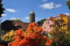 fachwerk-landschaft-rosa-gruen