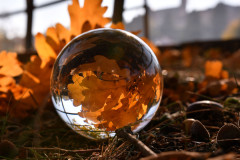 glasball-blaetter-sonnenuntergang-herbst