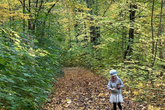 Im Zauberwald