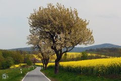 Landschaft