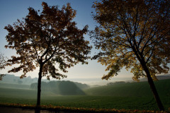 Morgenstimmung