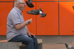 Picknick