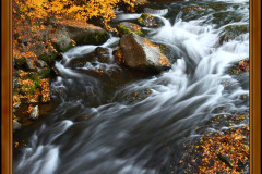 bach-baeume-herbst-daemmerung