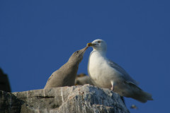 Mutter und Kind