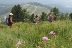 Sommerwanderung am Latemar