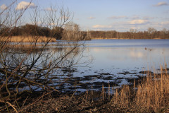 Natur erwacht
