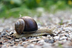 Leichtes Gepäck