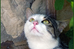 Was guckst du?