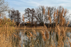 In der Heide- und Teichlanschaft