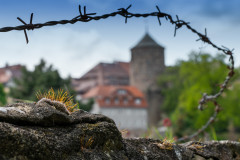 Der steinerne Blick