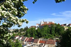 Frühlingsausblick