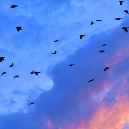 "Abendstunde" Steffen Hejduska